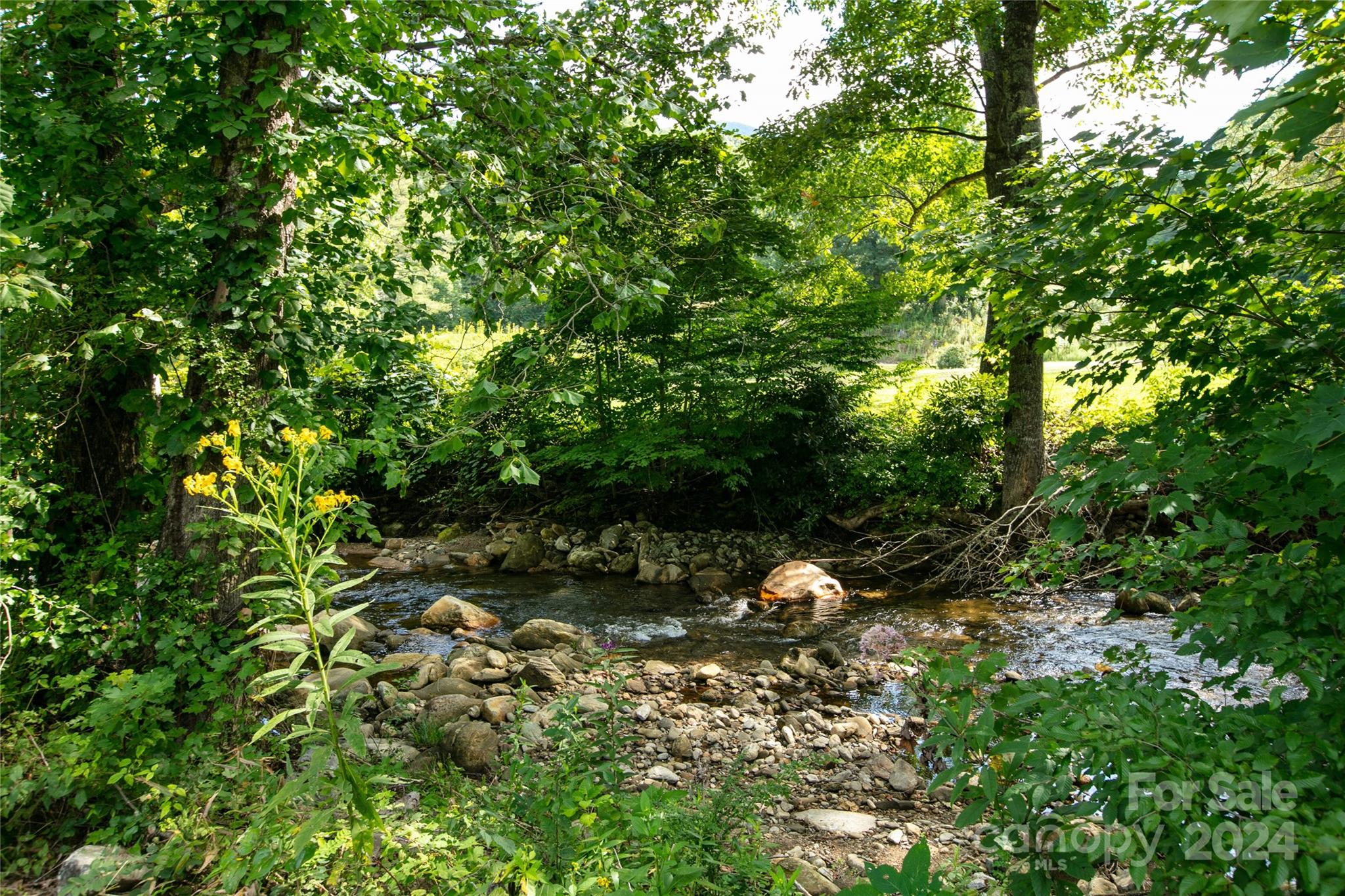 00000 Scout Trail Canton NC 28716