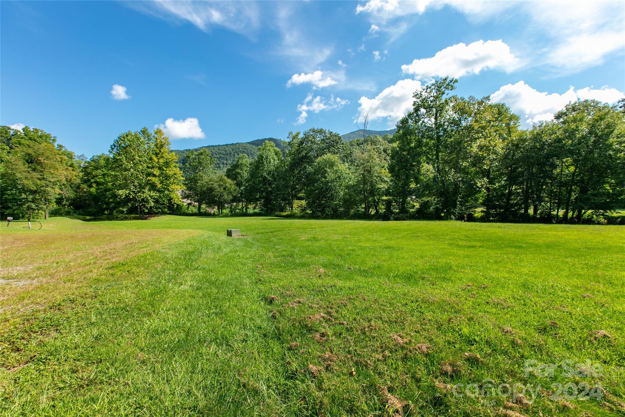 00000 Scout Trail Canton NC 28716