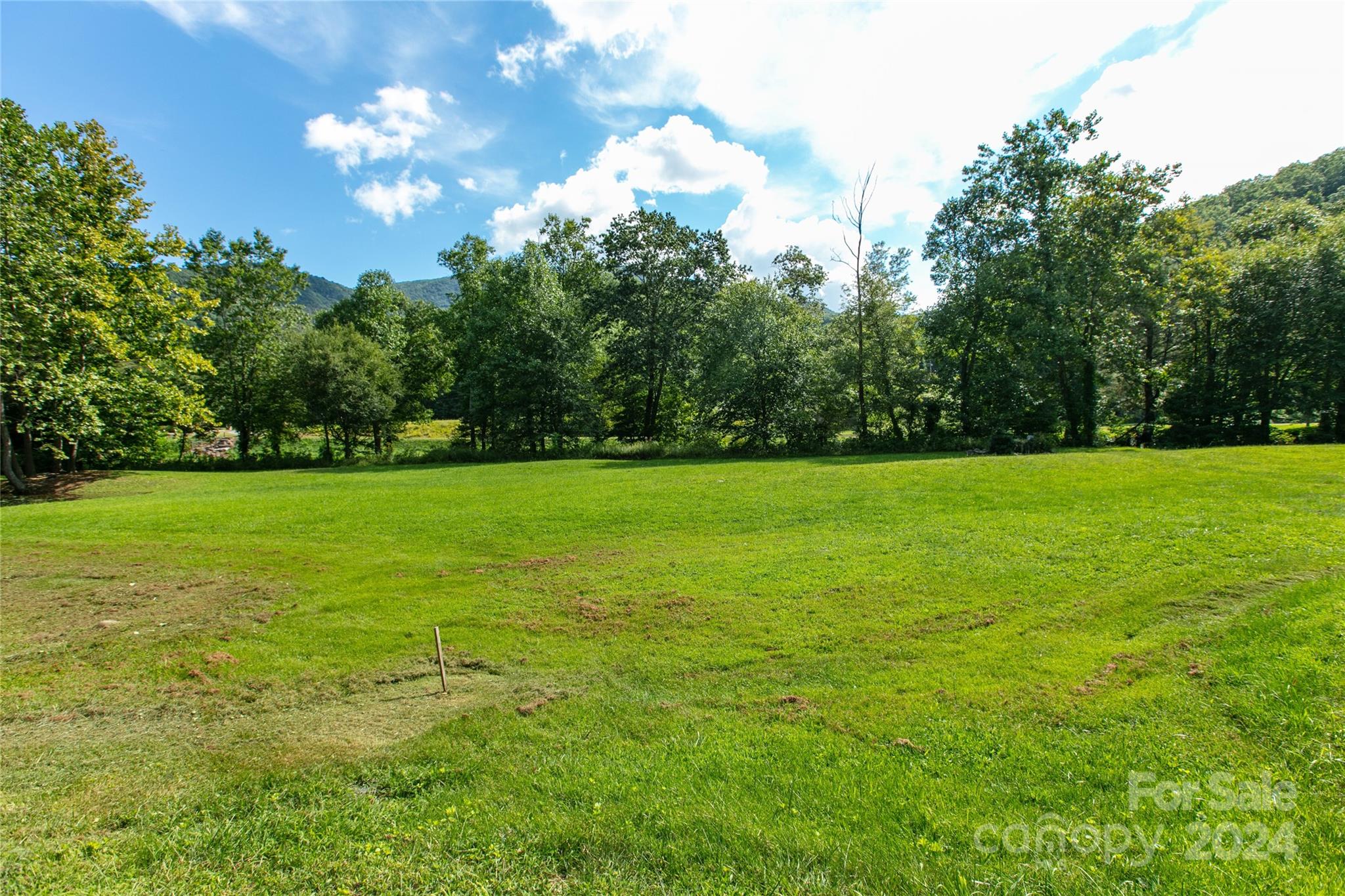 00000 Scout Trail Canton NC 28716
