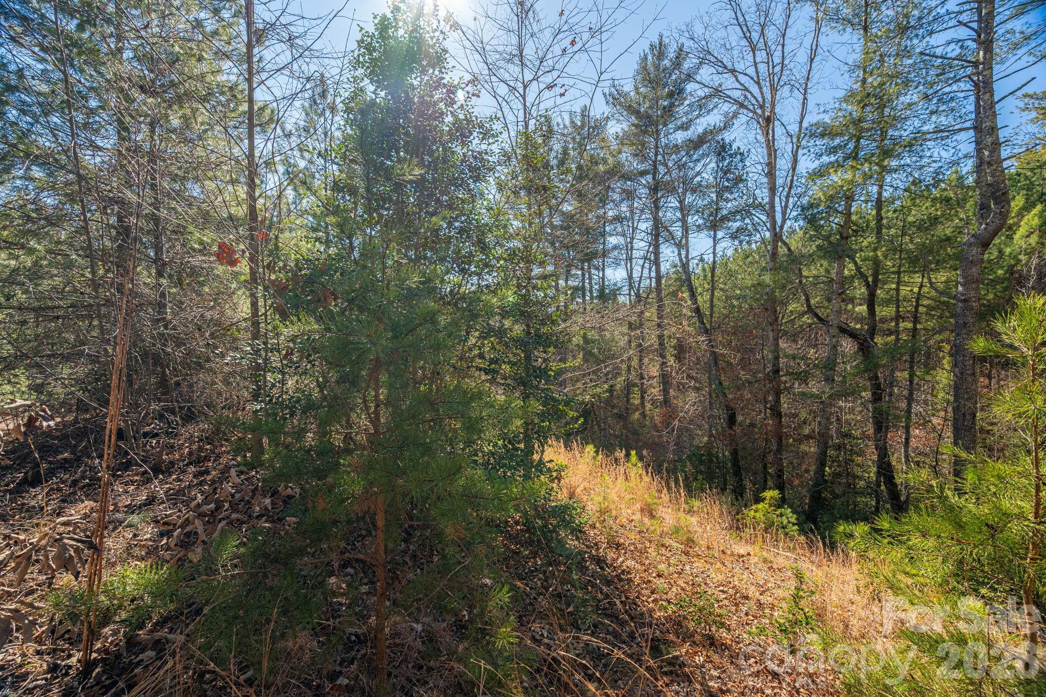 6235 Highway 18 S Connelly Springs NC 28612