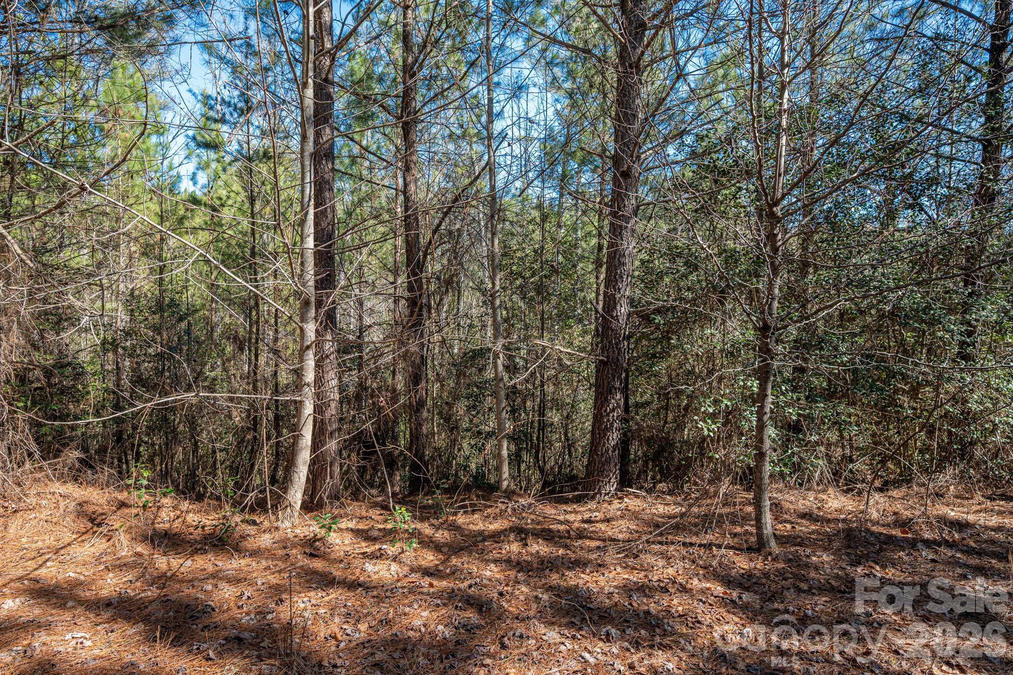 6235 Highway 18 S Connelly Springs NC 28612