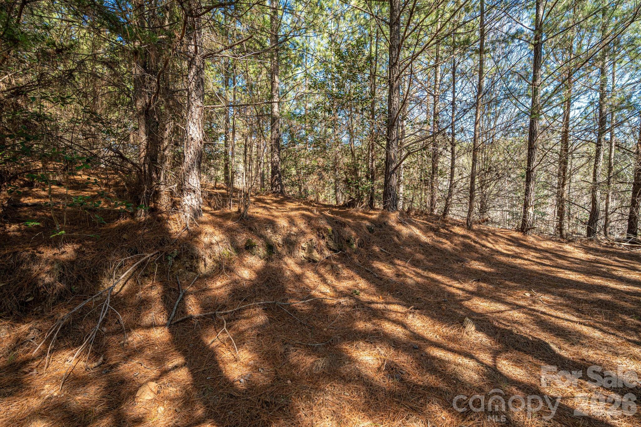 6235 Highway 18 S Connelly Springs NC 28612