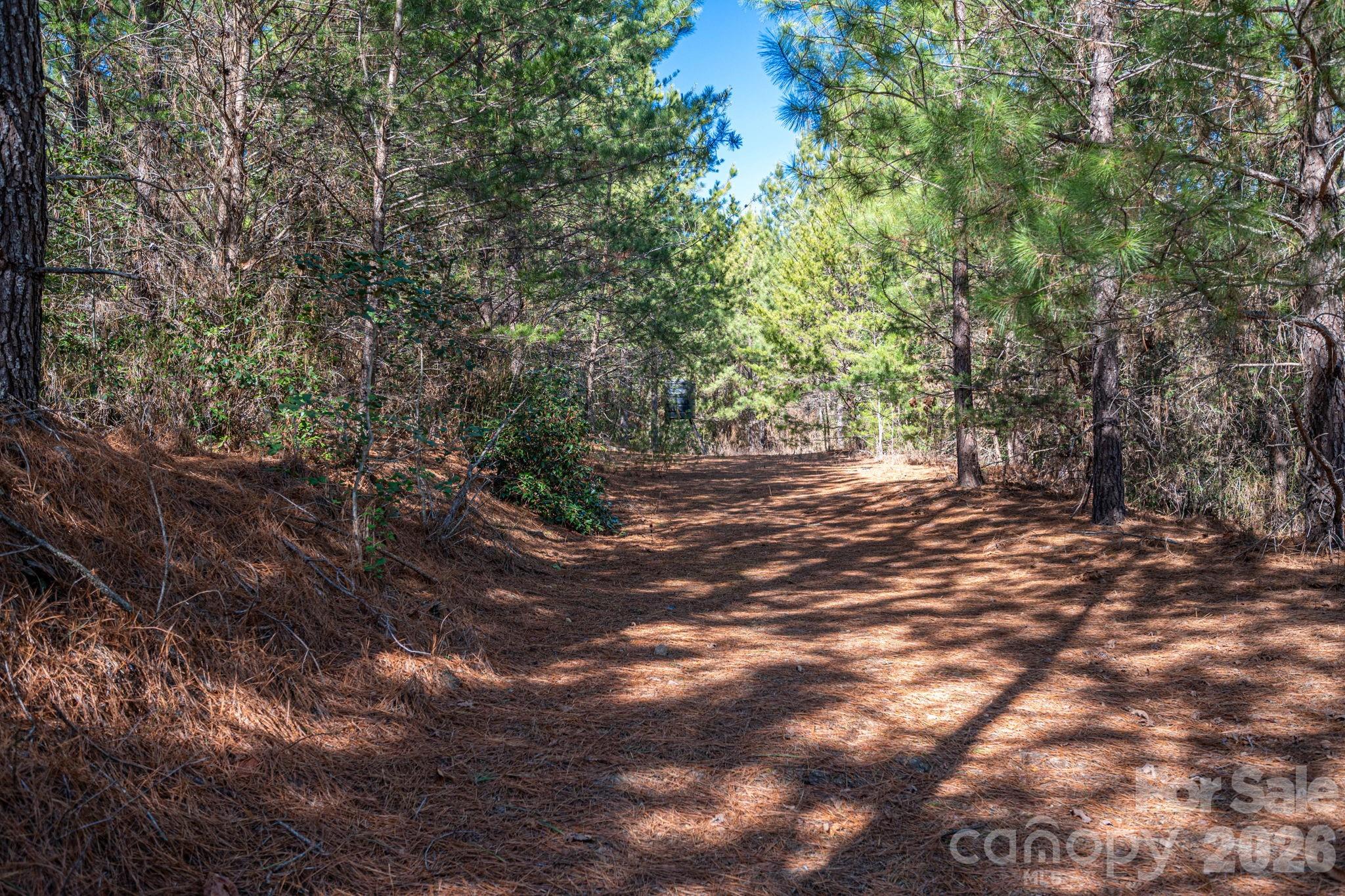 6235 Highway 18 S Connelly Springs NC 28612