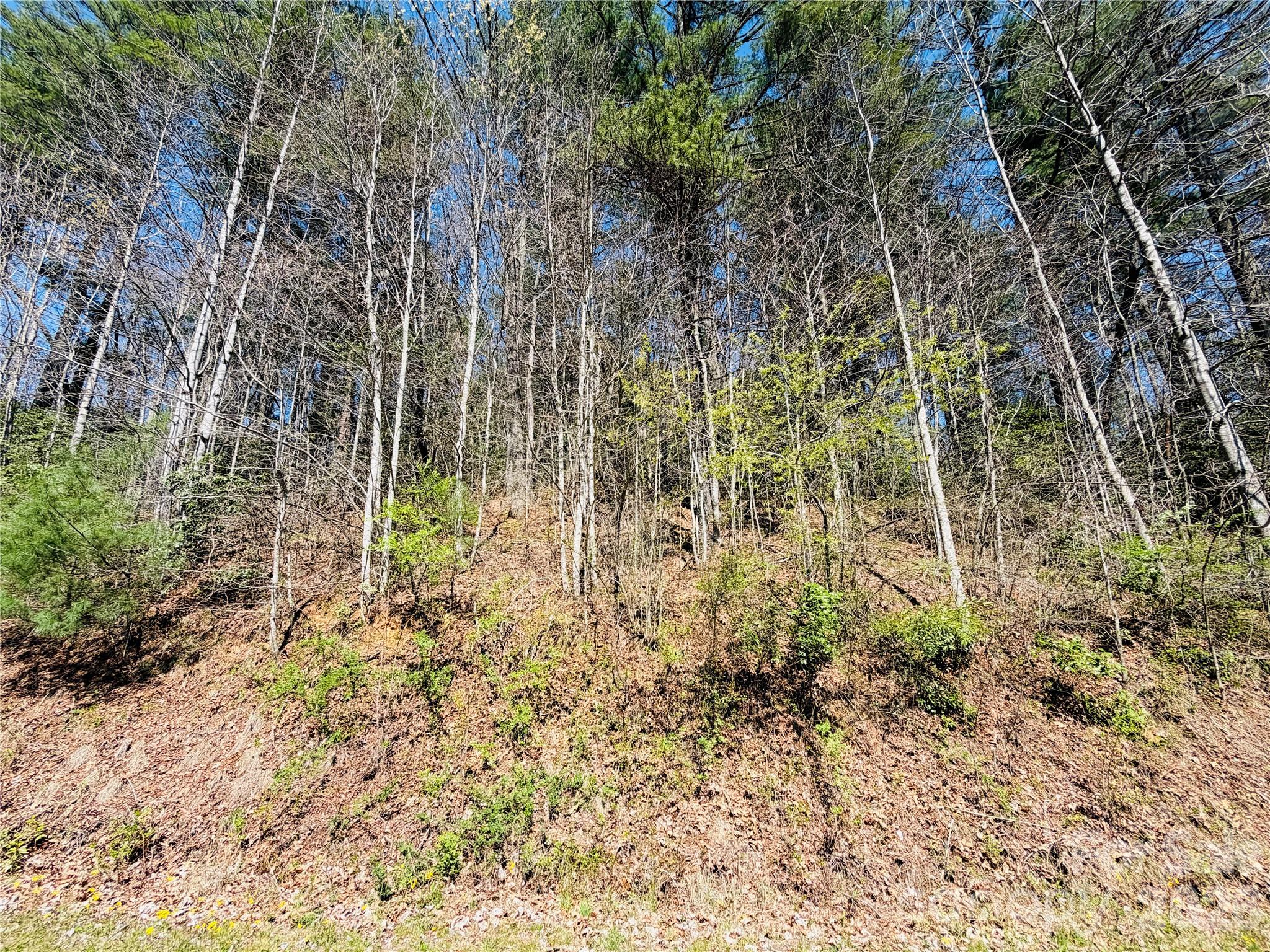 0000 Rock Creek Road Zirconia NC 28790