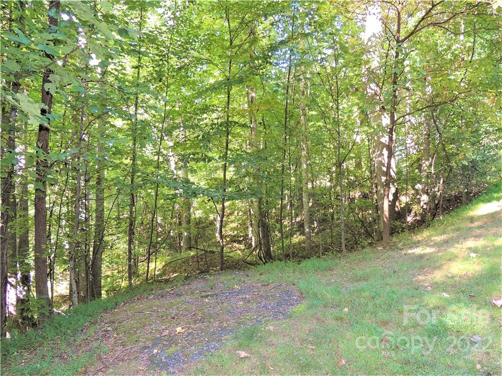 522 Blue Mist Way Arden NC 28704