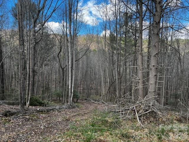 137 Cowboy Lane Hot Springs NC 28743