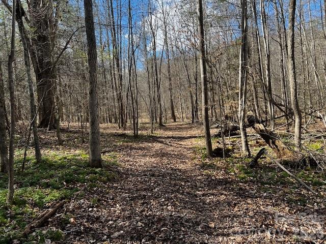 137 Cowboy Lane Hot Springs NC 28743