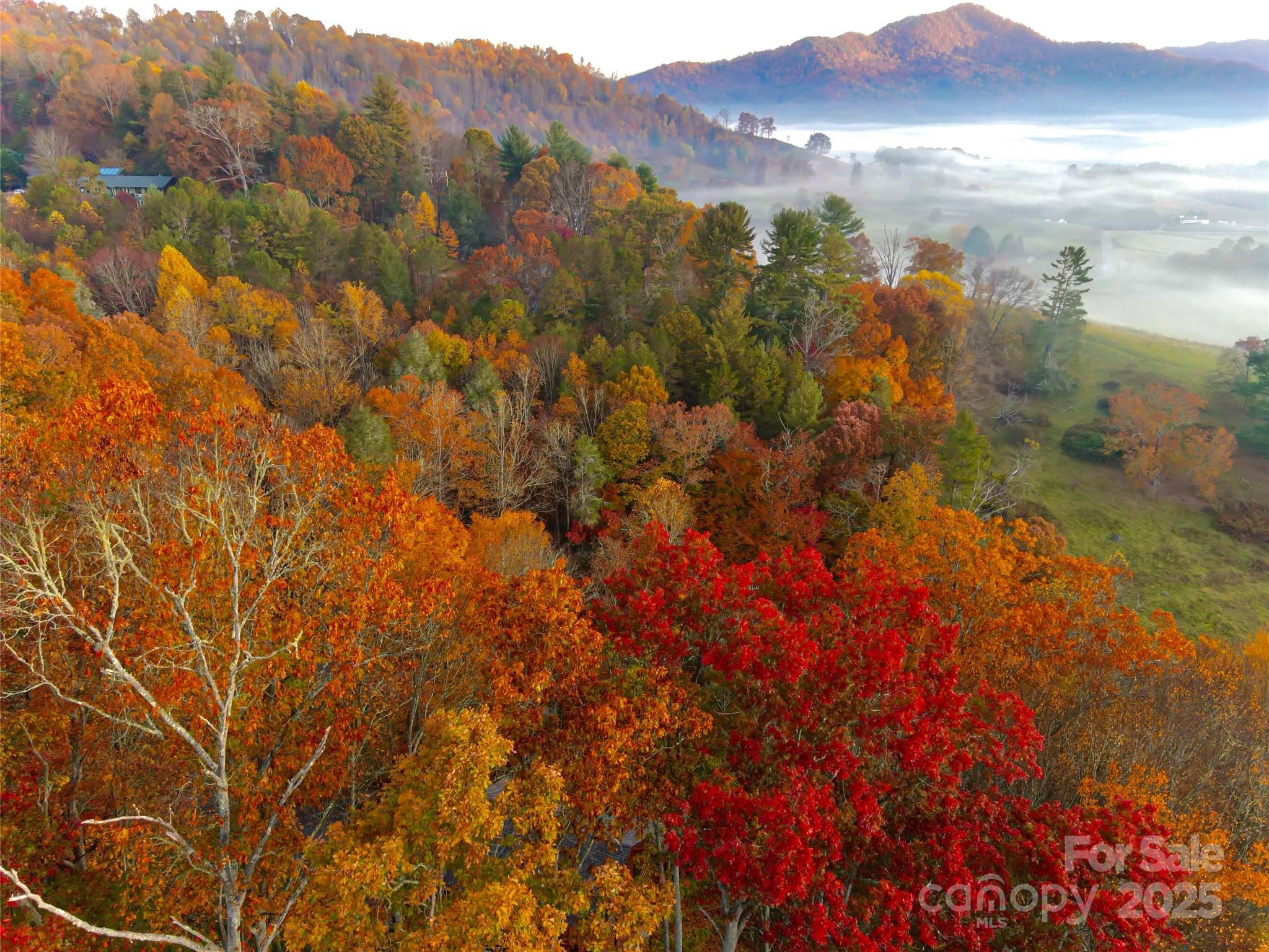999 Coyote Hollow Road Waynesville NC 28785