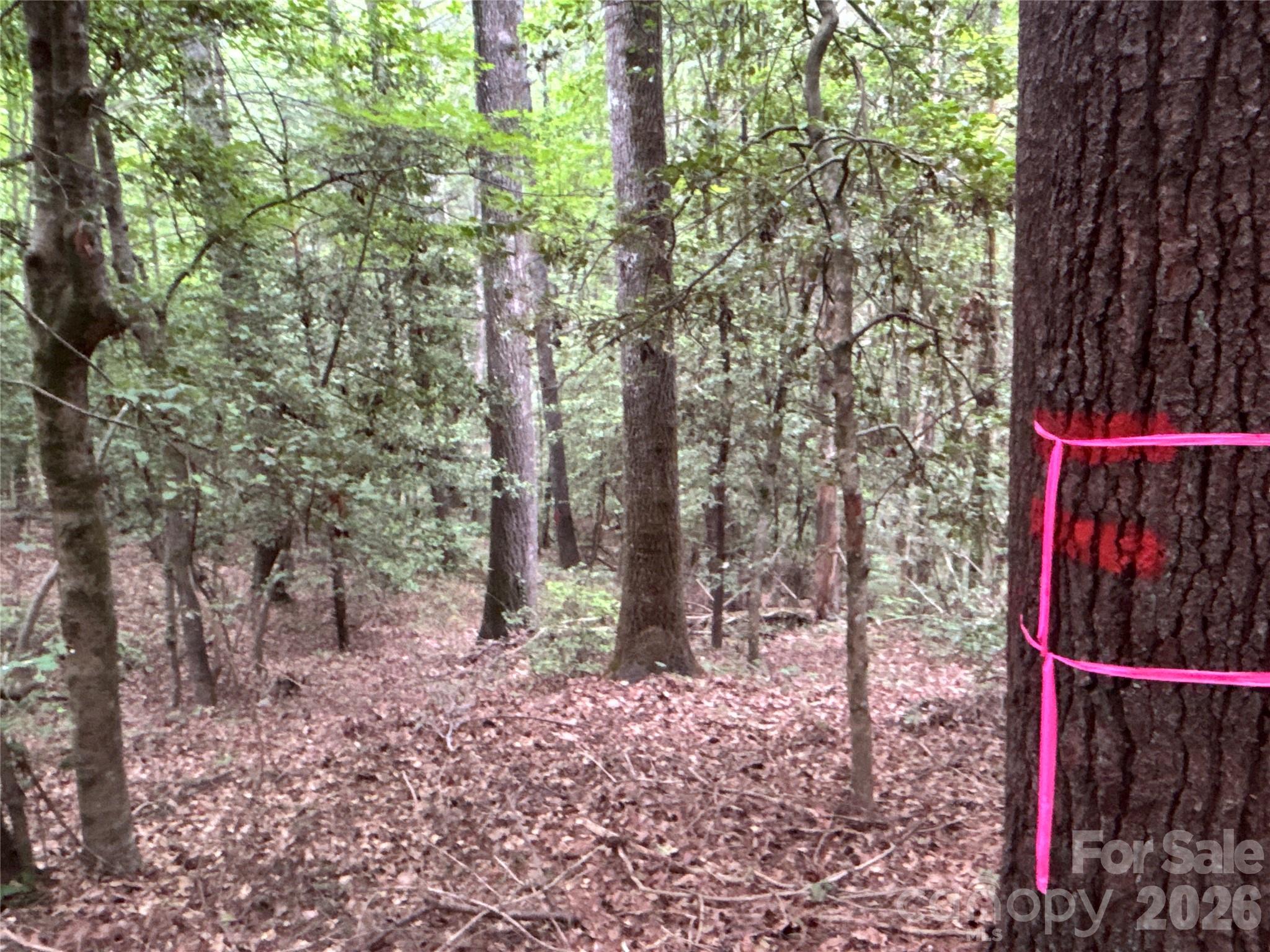 00 J Thomas Road Morganton NC 28655
