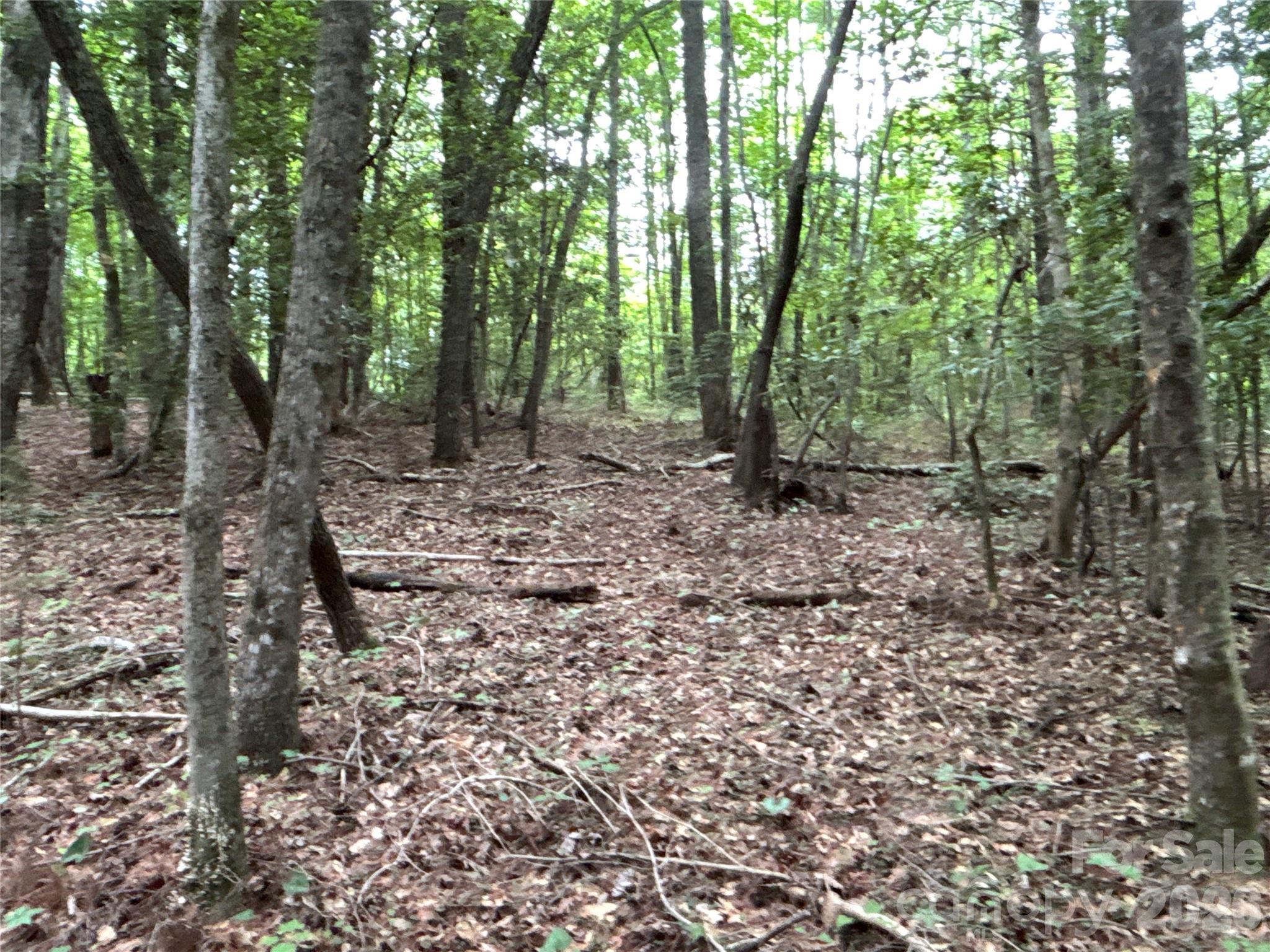 00 J Thomas Road Morganton NC 28655