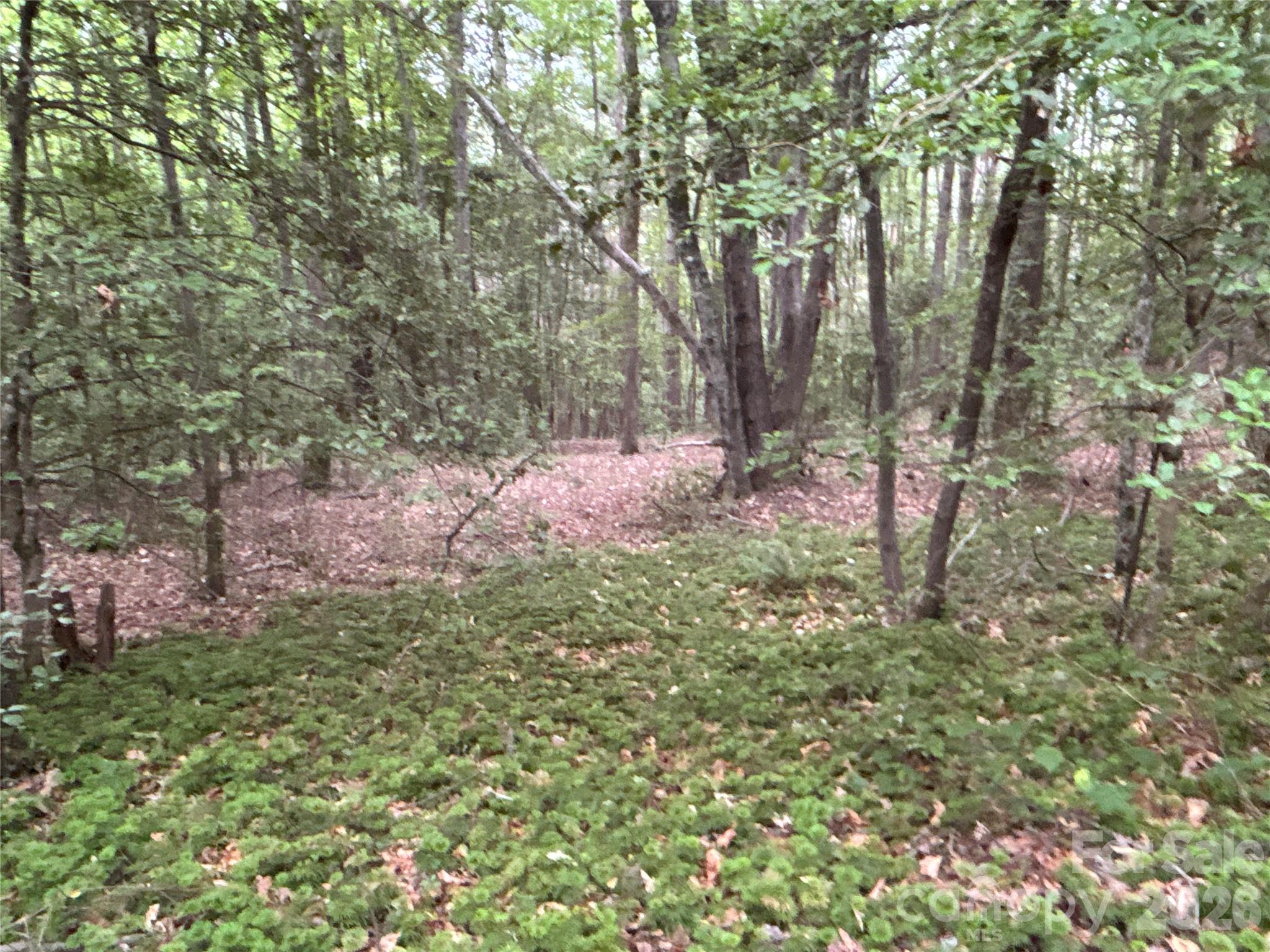 00 J Thomas Road Morganton NC 28655