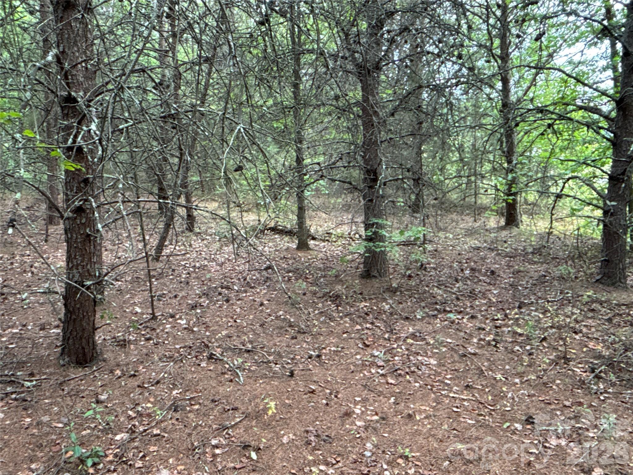 00 J Thomas Road Morganton NC 28655