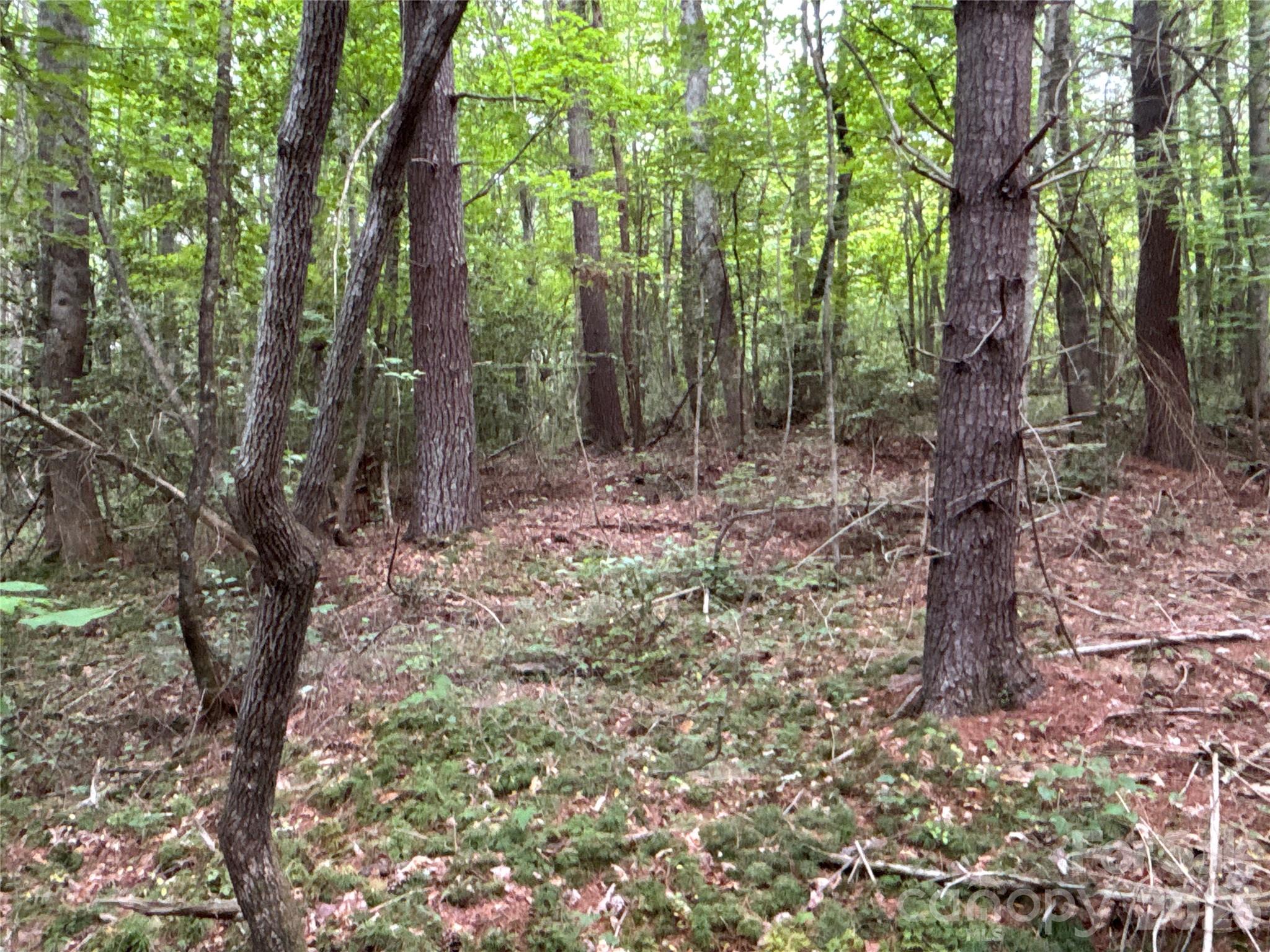 00 J Thomas Road Morganton NC 28655