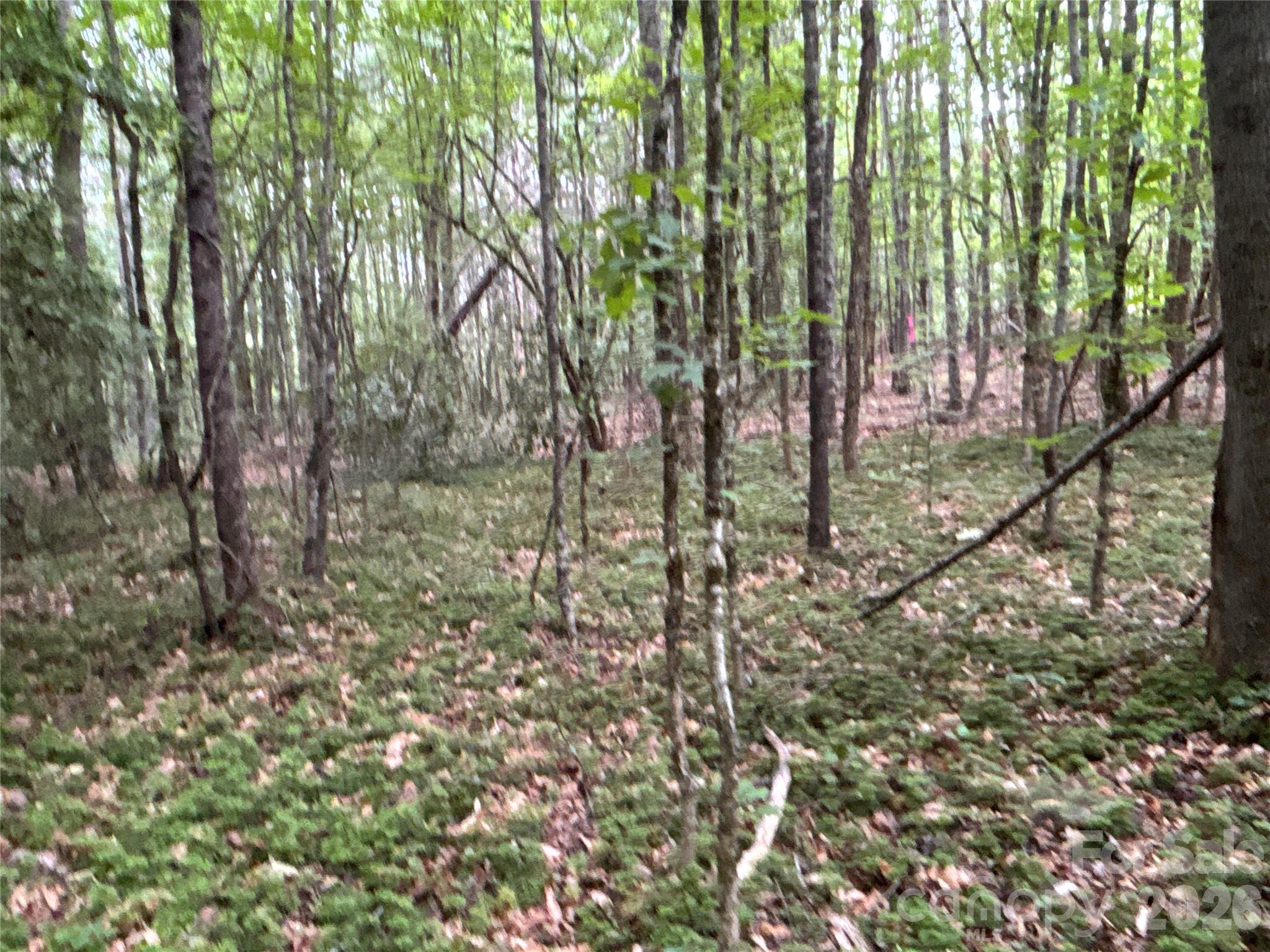 00 J Thomas Road Morganton NC 28655