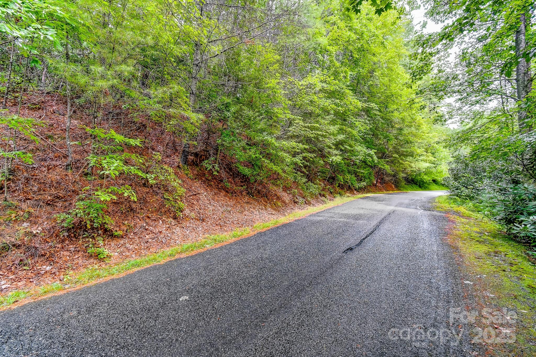 99999 Thunder Road Brevard NC 28712