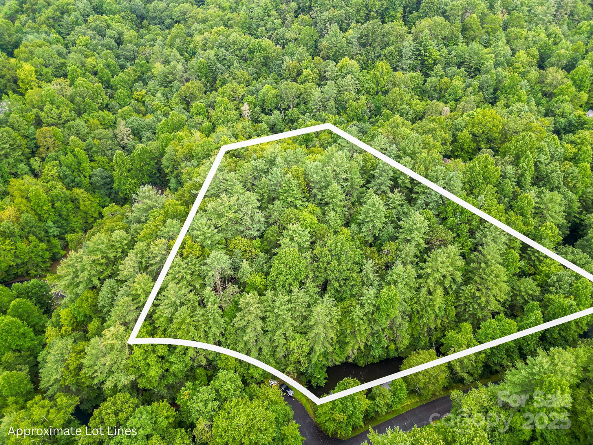99999 Thunder Road Brevard NC 28712