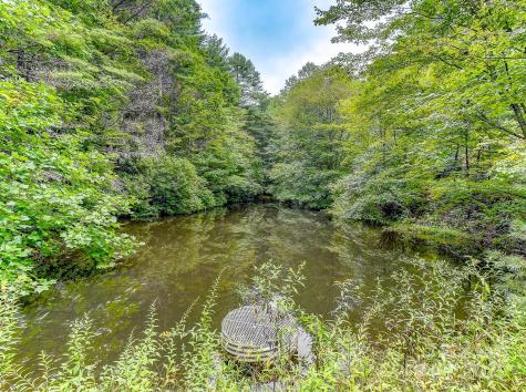 99999 Thunder Road Brevard NC 28712