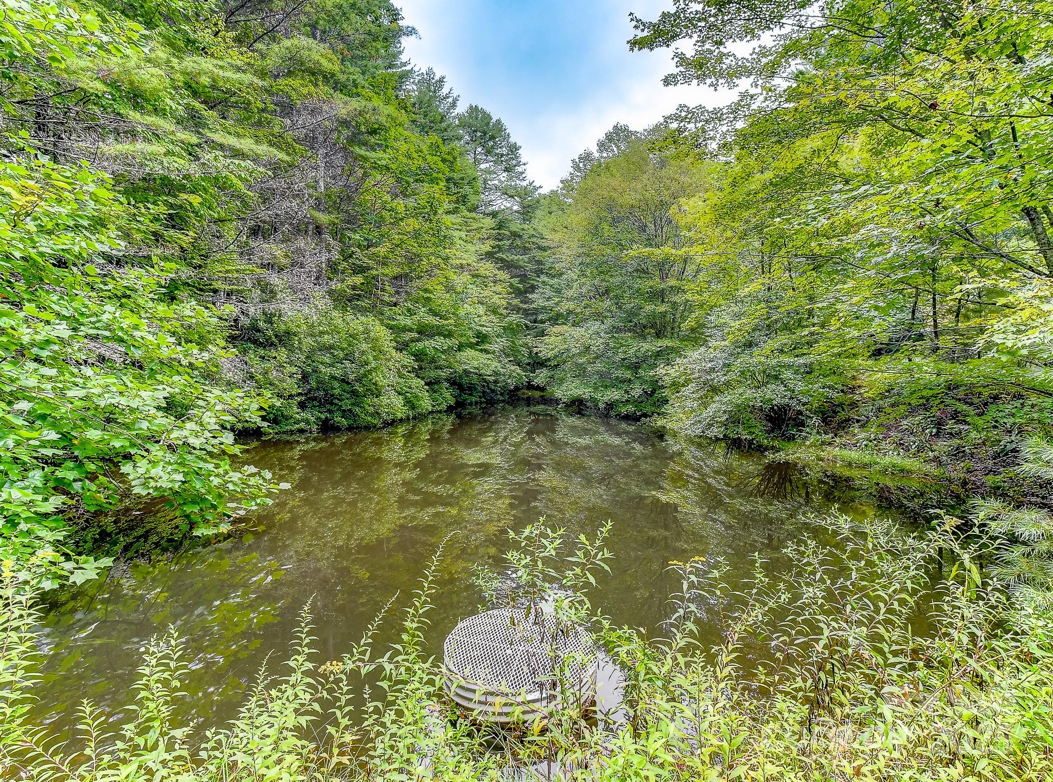 99999 Thunder Road Brevard NC 28712