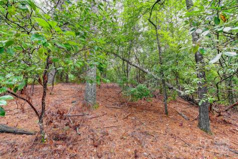 99999 Thunder Road Brevard NC 28712
