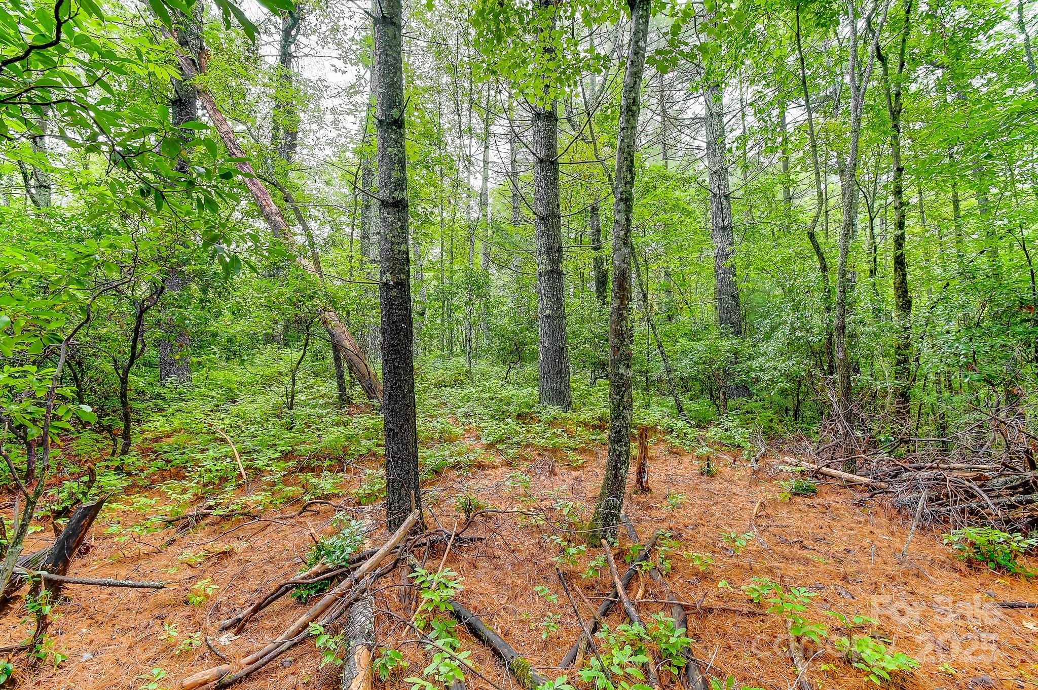 99999 Thunder Road Brevard NC 28712