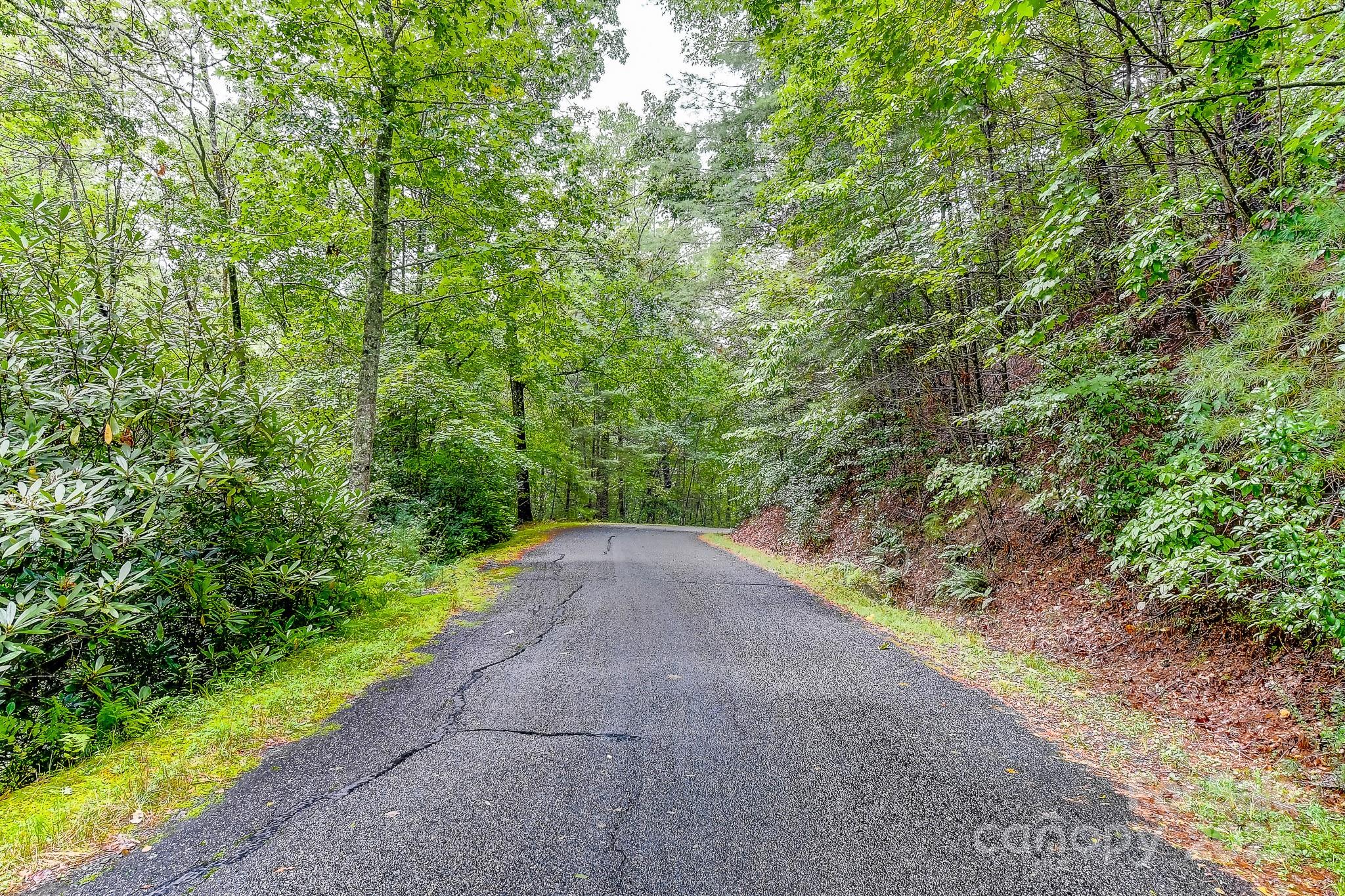 99999 Thunder Road Brevard NC 28712