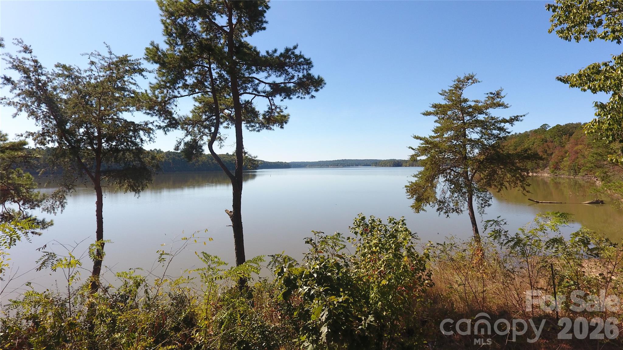 Tbd River Bluff Lane Lilesville NC 28091