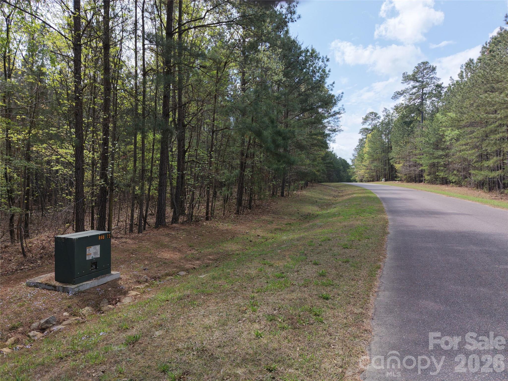 Tbd River Bluff Lane Lilesville NC 28091