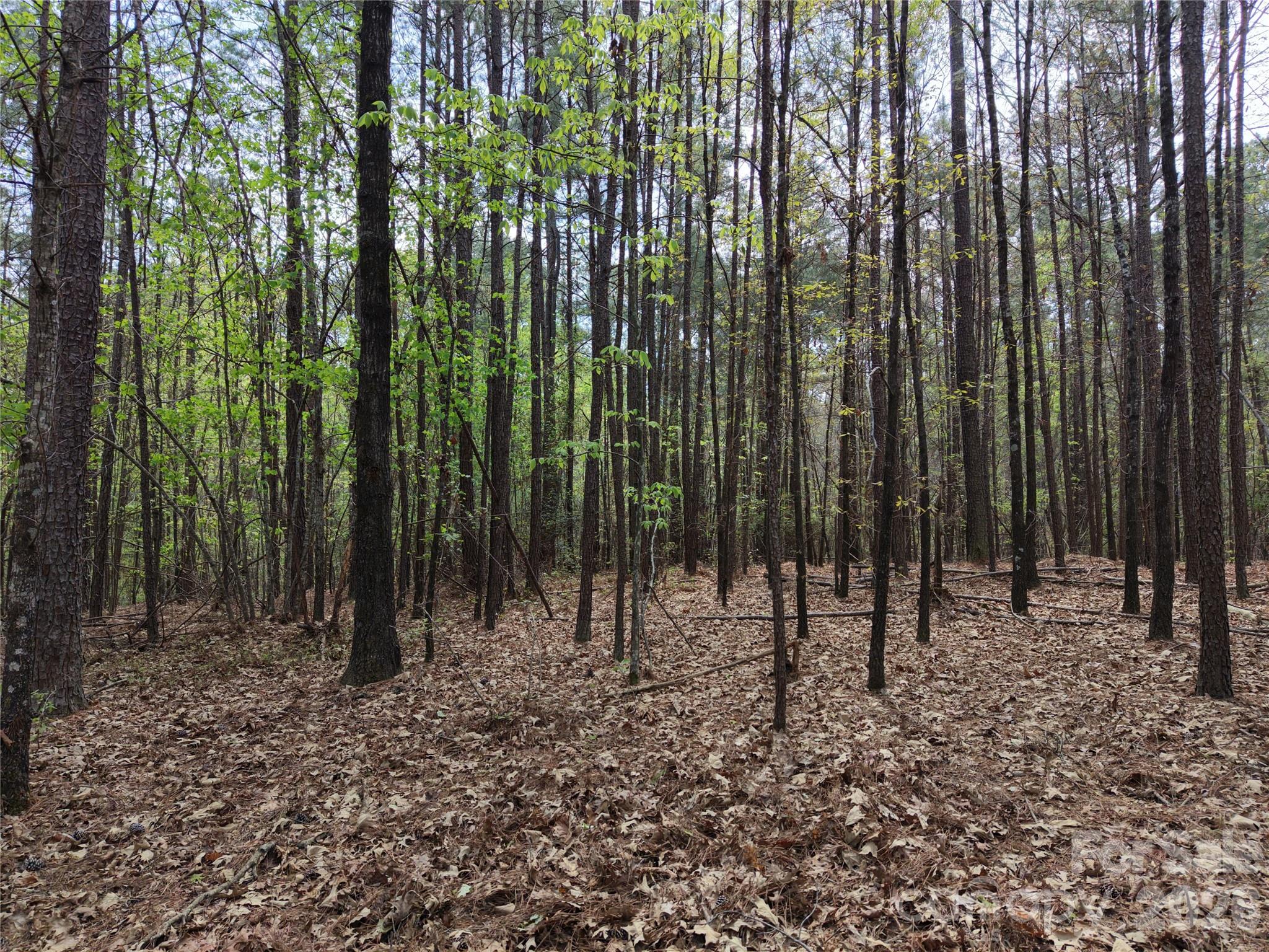 Tbd River Bluff Lane Lilesville NC 28091