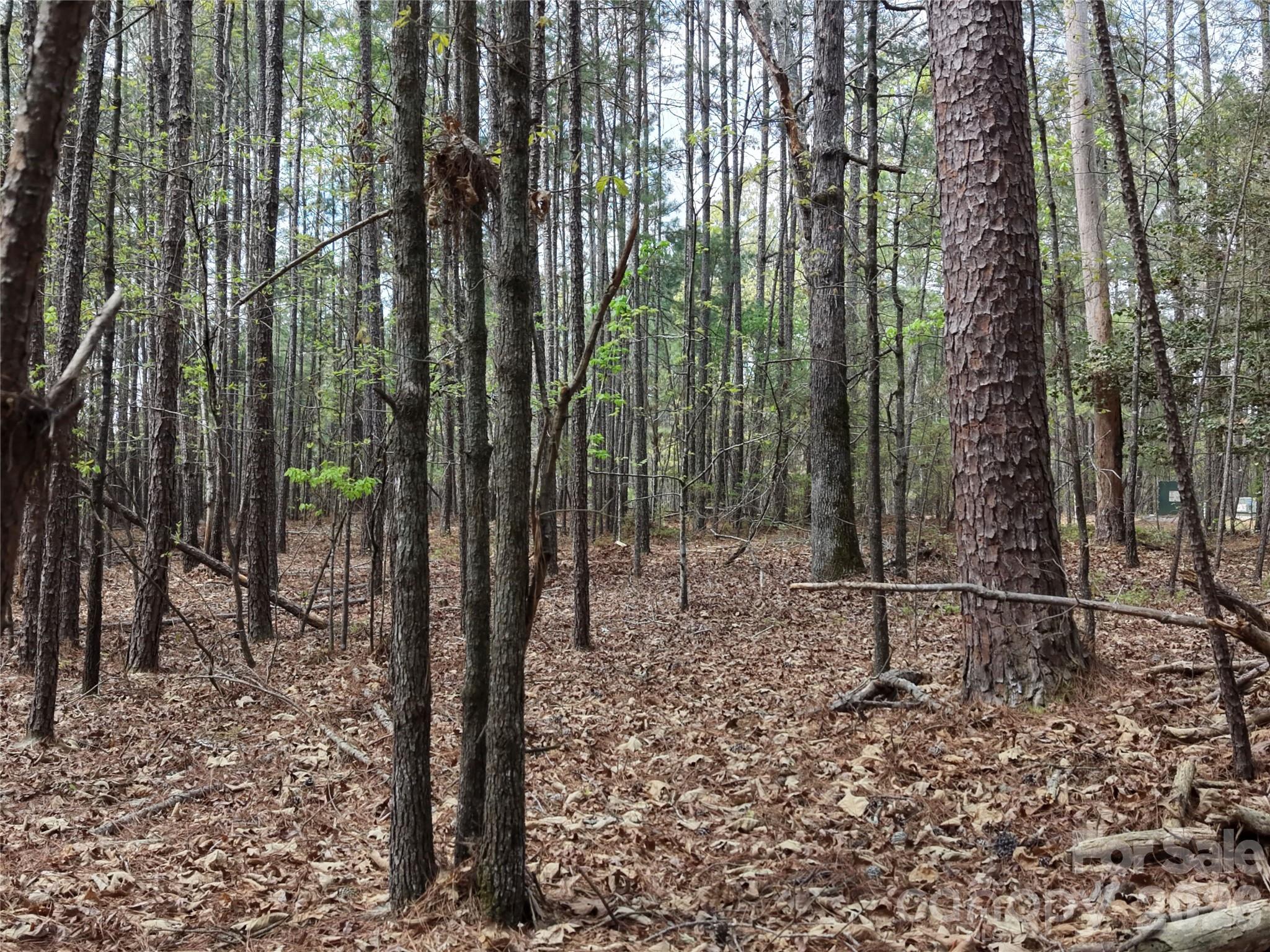 Tbd River Bluff Lane Lilesville NC 28091