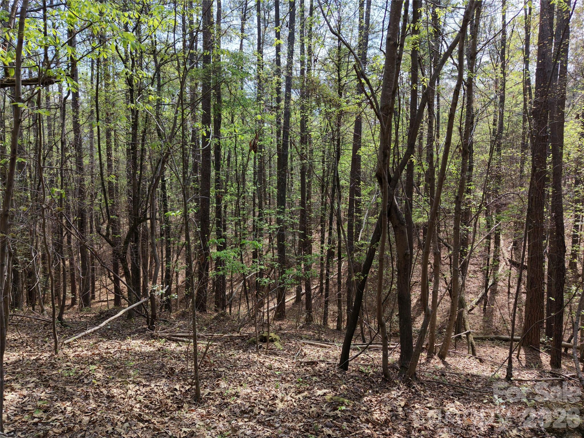 Tbd River Bluff Lane Lilesville NC 28091
