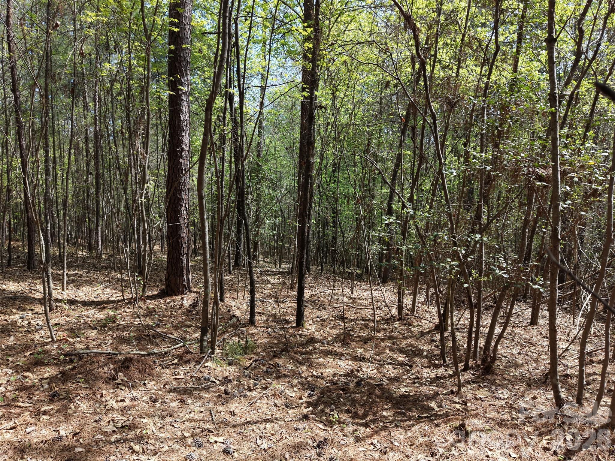 Tbd River Bluff Lane Lilesville NC 28091