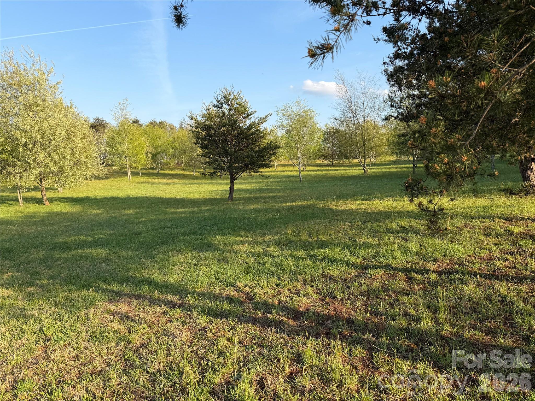 201 Blue Mountain Lane Tryon NC 28782