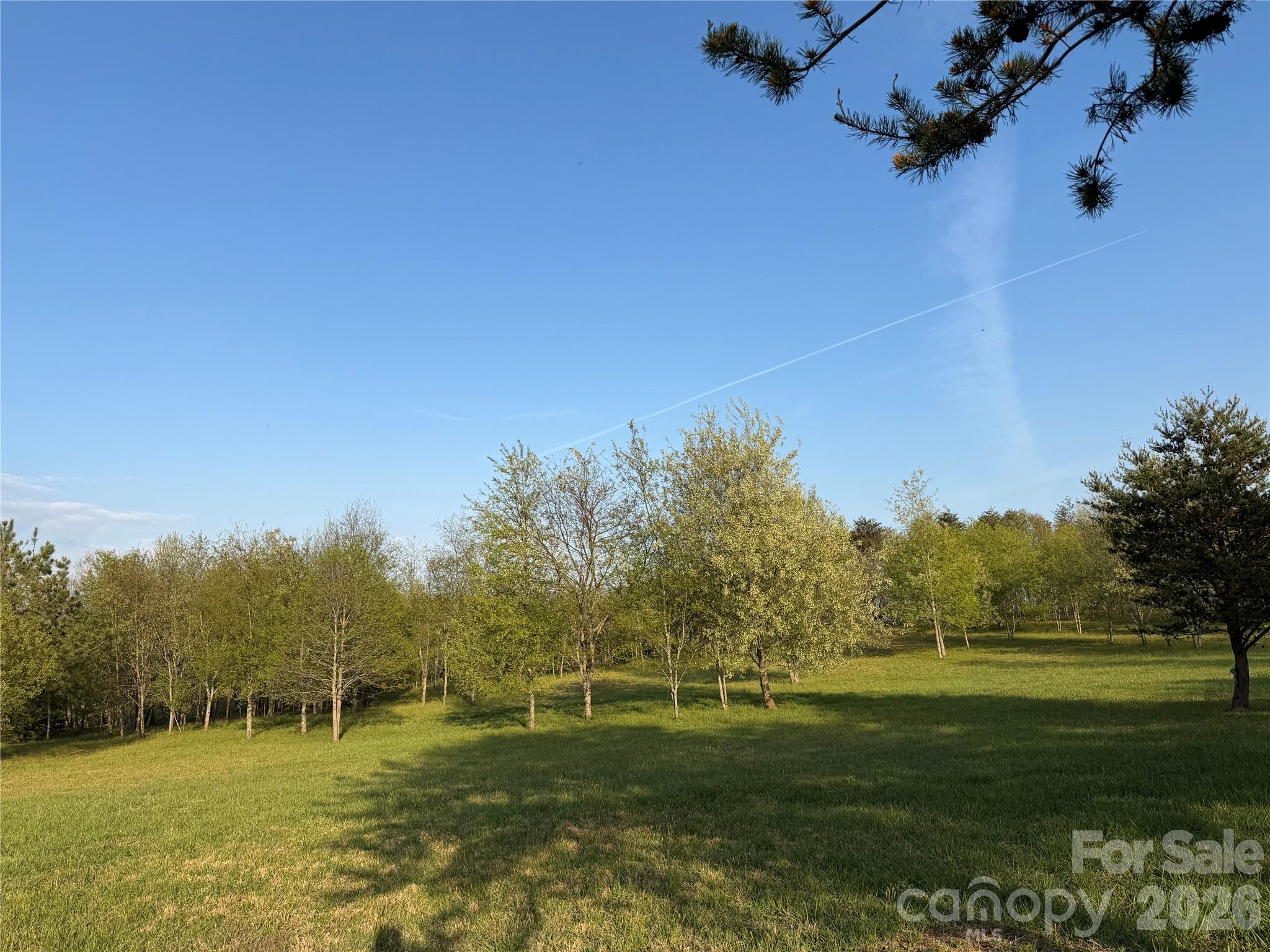 201 Blue Mountain Lane Tryon NC 28782