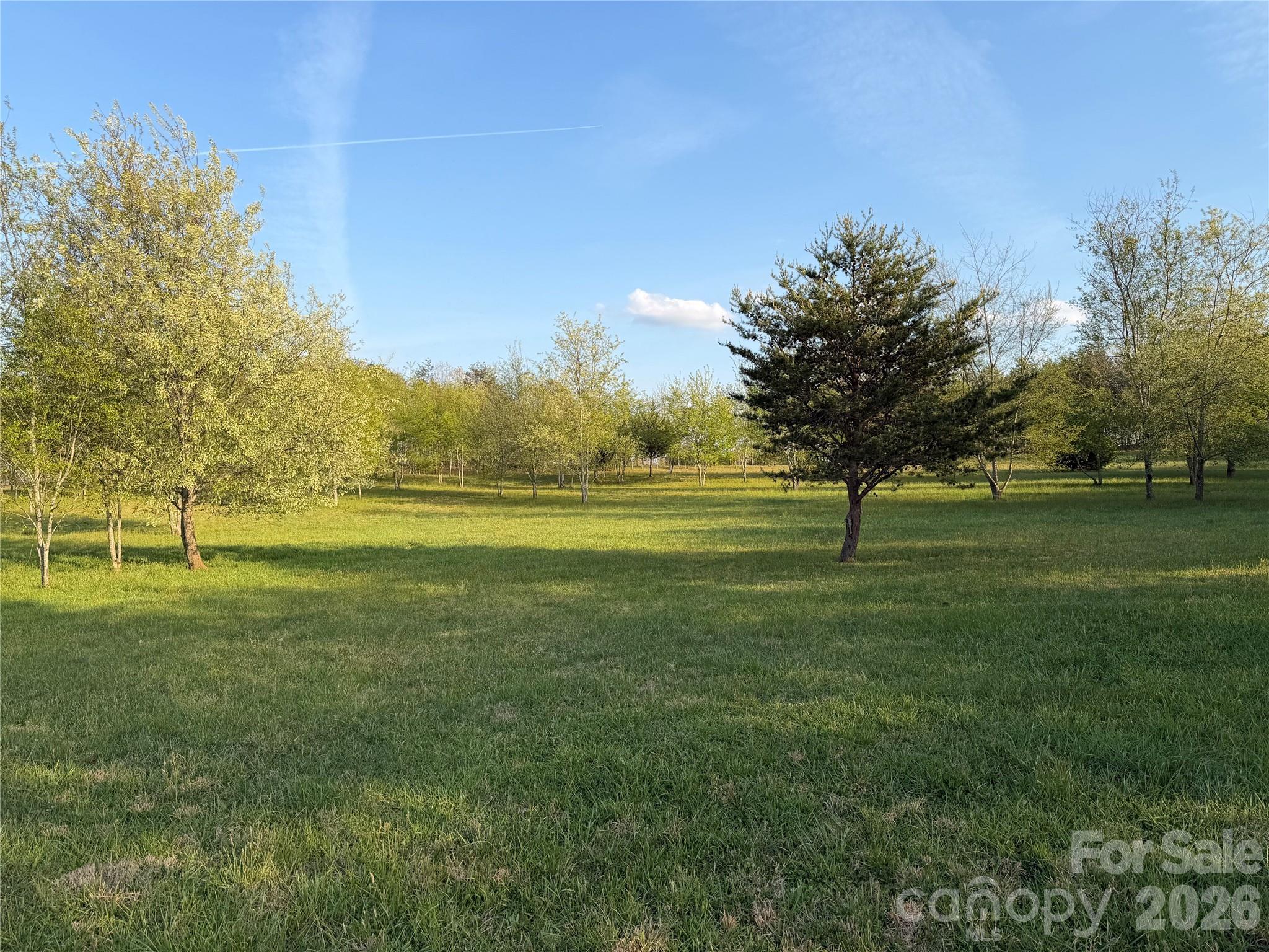 201 Blue Mountain Lane Tryon NC 28782