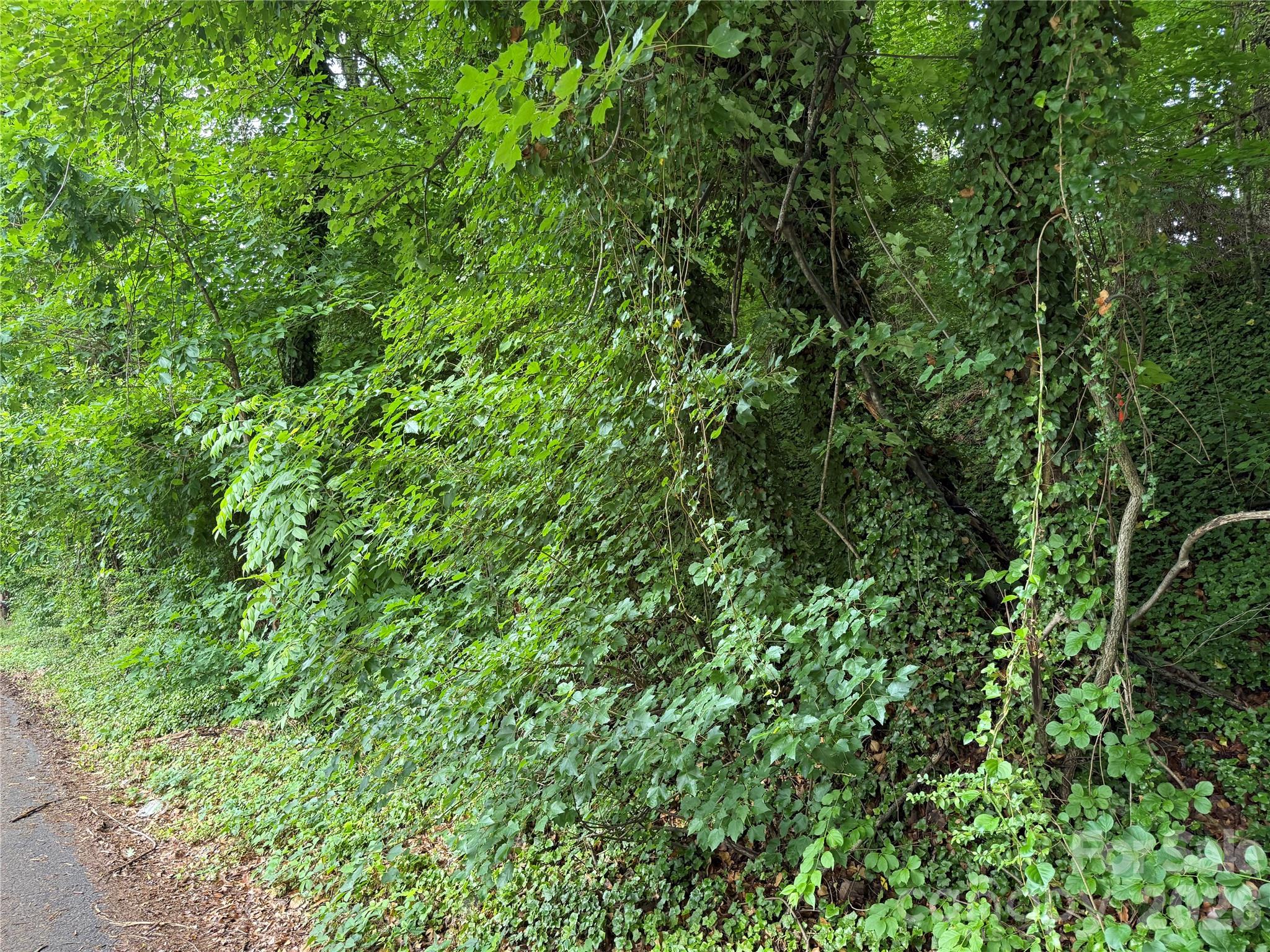 91 Iris Street Asheville NC 28803