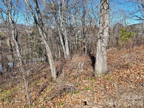 131 Skyline Drive Canton NC 28716