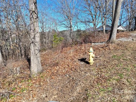 131 Skyline Drive Canton NC 28716