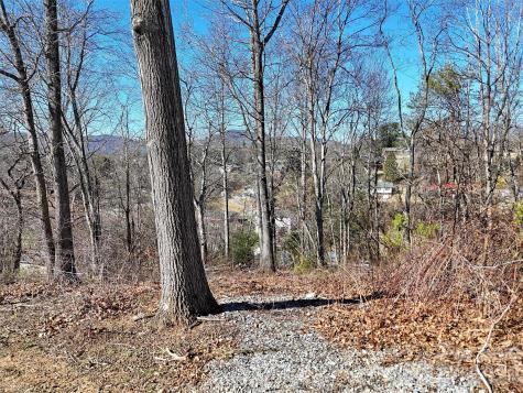 131 Skyline Drive Canton NC 28716