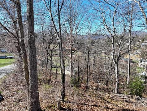 131 Skyline Drive Canton NC 28716