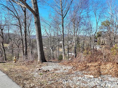 131 Skyline Drive Canton NC 28716
