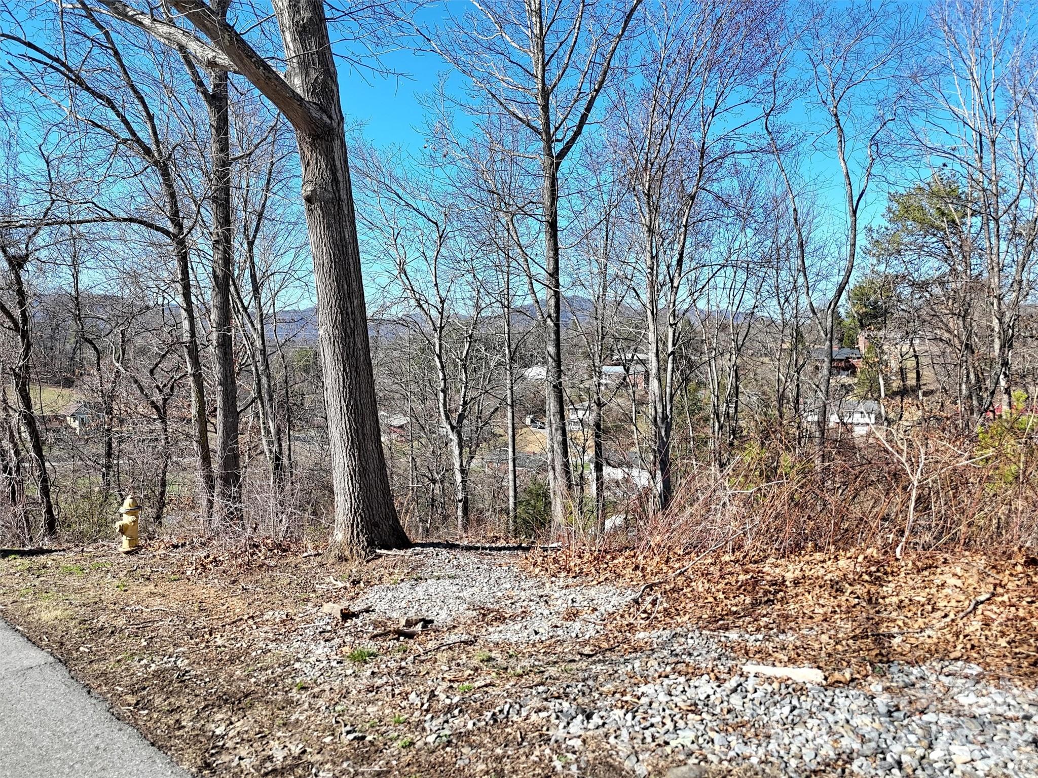 131 Skyline Drive Canton NC 28716