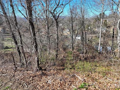 131 Skyline Drive Canton NC 28716