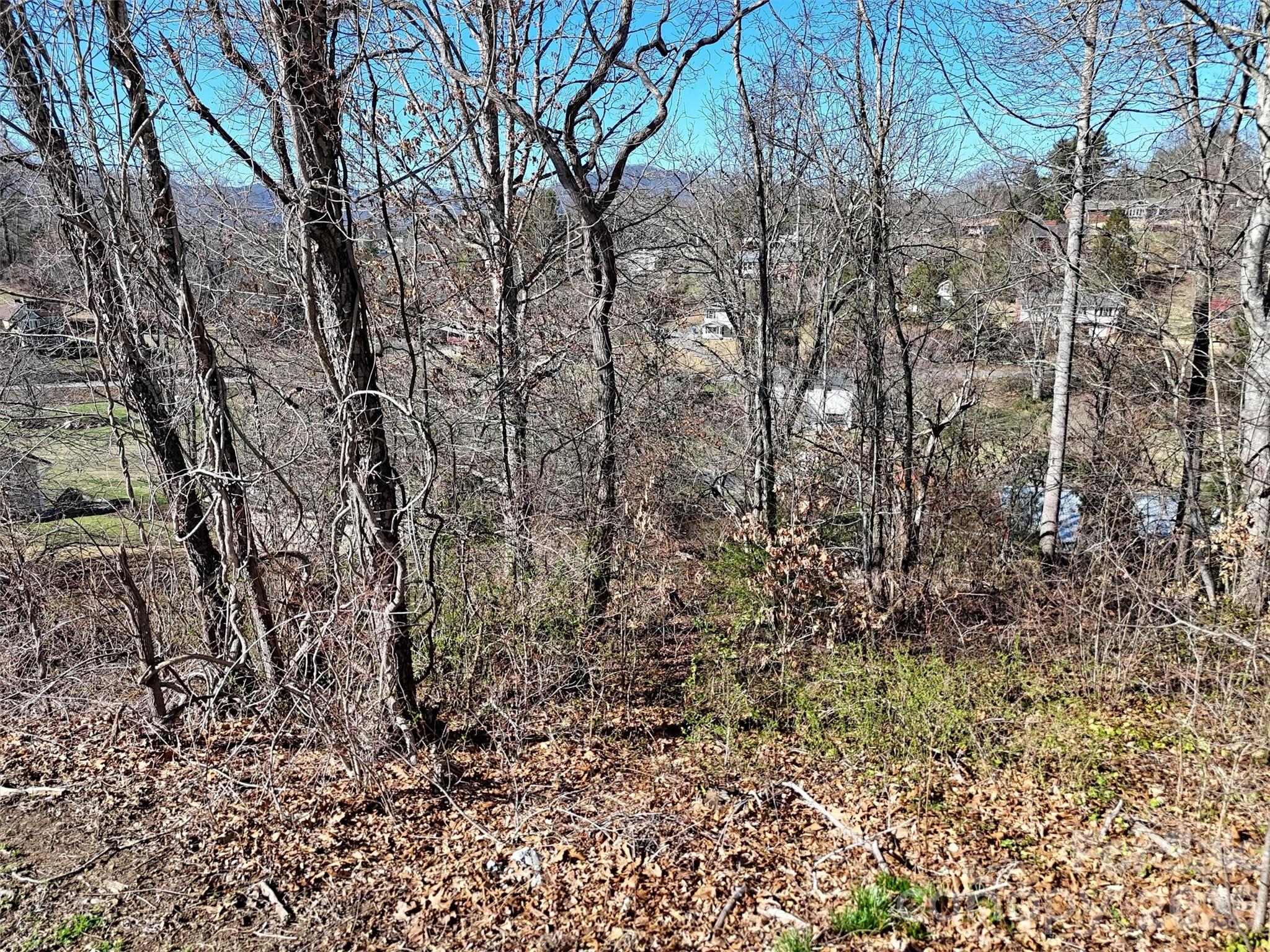 131 Skyline Drive Canton NC 28716