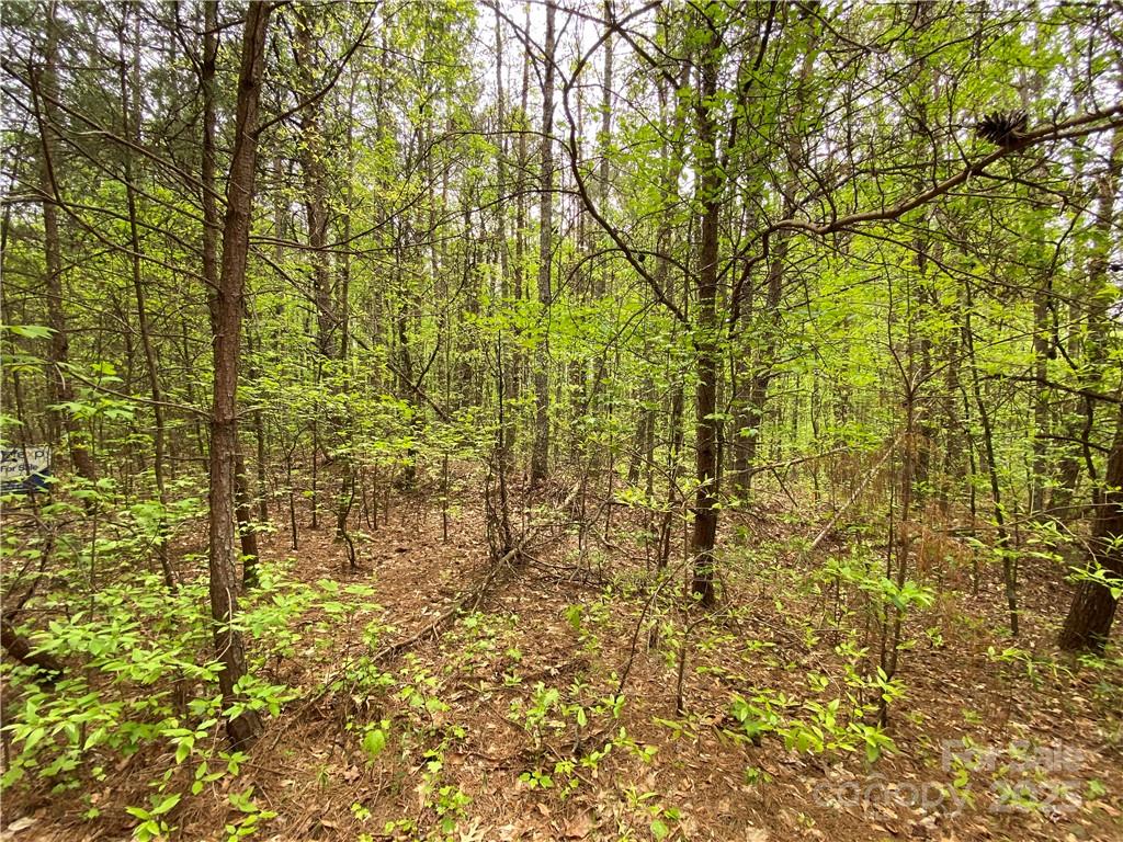 00 Sunrise Trail Lincolnton NC 28092