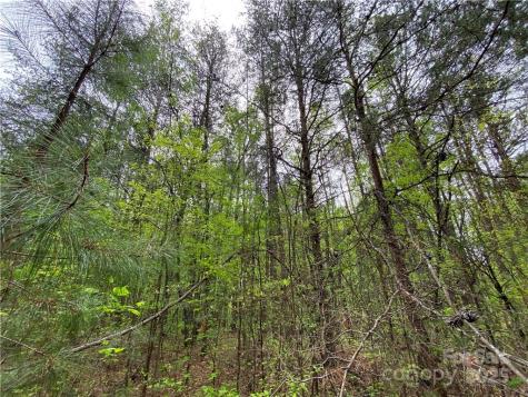 00 Sunrise Trail Lincolnton NC 28092