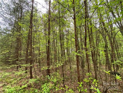 00 Sunrise Trail Lincolnton NC 28092