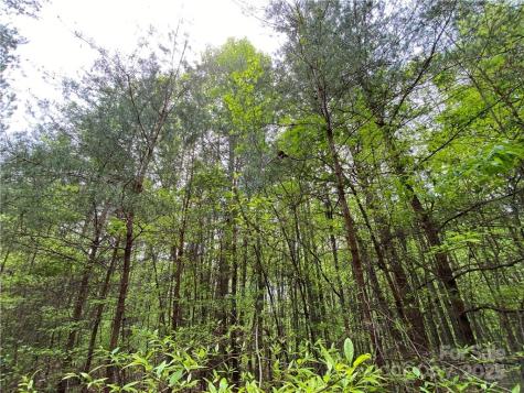 00 Sunrise Trail Lincolnton NC 28092