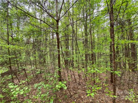 00 Sunrise Trail Lincolnton NC 28092