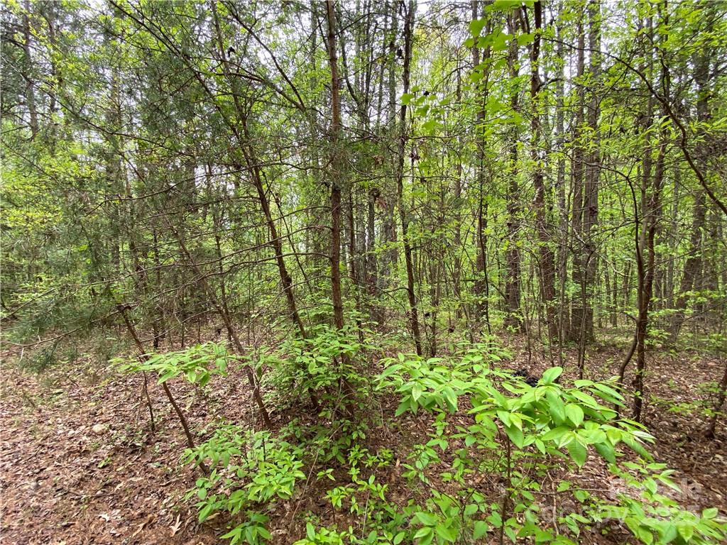 00 Sunrise Trail Lincolnton NC 28092