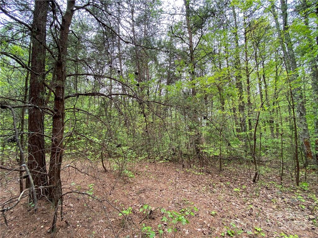 00 Sunrise Trail Lincolnton NC 28092